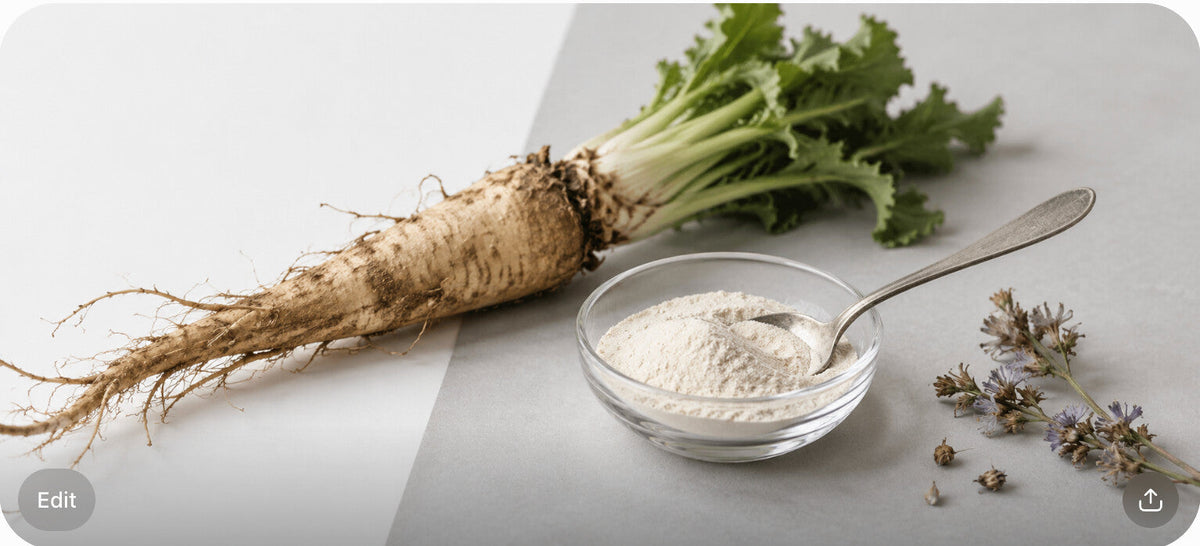A chicory root, a bowl of pale inulin fiber powder, and a dried herb sprig on a clinical white and gray surface